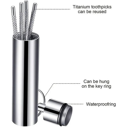 Stainless Steel Toothpick Set Reusable Toothpicks Tooth Flossing Tartar Removal Tool Portable Teeth Cleaner for Tooth Oral Clean